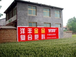 甘洛如何让墙体广告展现最大化效果