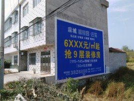 甘洛墙体广告质量分析