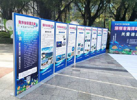 甘洛KT板的种类和知识。